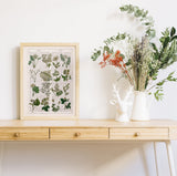 Ivory Wild flowers