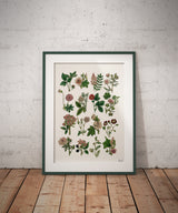 Pink Wild flowers collection