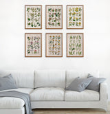 Pink Wild flowers collection