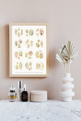 Microscope series Dinoflagellata Collection Print