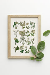 Ivory Wild flowers