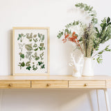 Ivory Wild flowers
