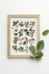 Pink Wild flowers collection