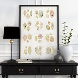 Microscope series Dinoflagellata Collection Print