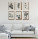 Xmas Svg, Wall art print SALE : Set of six  Black and white Anatomy collection, any six images of your choice with an special price  SET017