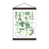 Eucalyptus Green Botanical Print