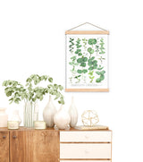 Eucalyptus Green Botanical Print