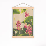 CurcumaOriental Flowers Poster