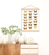Moth and Butterflies Prints