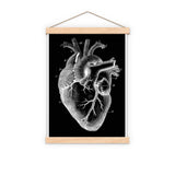 Human heart black background anatomy art wall