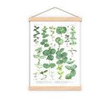 Eucalyptus Green Botanical Print