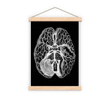 Human brain black background wall art