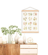Microscope series Dinoflagellata Collection Print