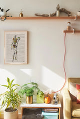 Birds and Plants Skeleton