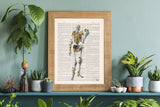 Birds and Plants Skeleton