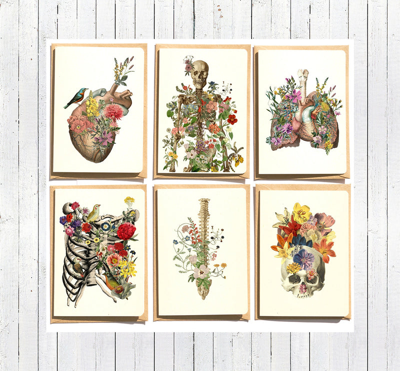 Christmas svg Gift - Anatomy and flowers. Notecards set of six , Blank note cards set. Greeting cards set. NTC009