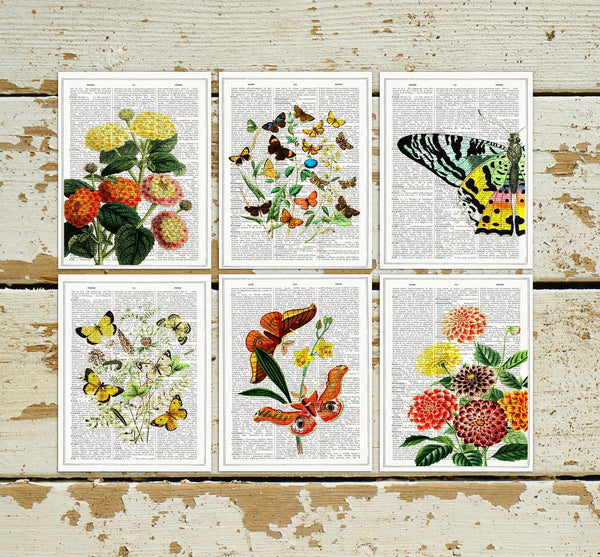 Butterflies and  flowers Postcards