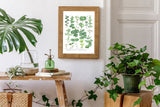 Eucalyptus Green Botanical Print