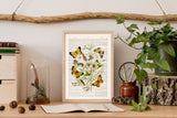 Wild Flowers and butterflies