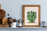 Opuntia Cactus art print