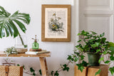 Chamomile plant