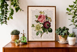 Floral Bouquet of Anemones and Roses