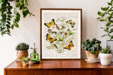 Wild Flowers and butterflies