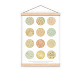 Bacteria Collection Earth Tones