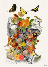 Anatomy Flower head