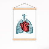 Heart and Lungs Anatomy Print