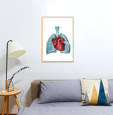 Heart and Lungs Anatomy Print