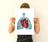 Heart and Lungs Anatomy Print