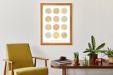 Bacteria Collection Earth Tones