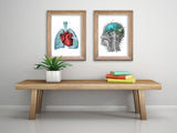 Heart and Lungs Anatomy Print