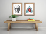 Heart and Lungs Anatomy Print