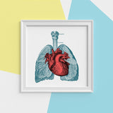 Heart and Lungs Anatomy Print