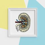 Anatomy Kidney Print illustration