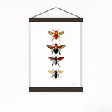Bees and Bumblebees