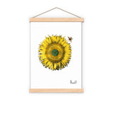 Pollination of a Sunflower Print