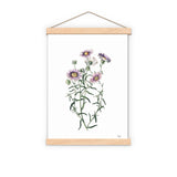 Wild daisies in lilac