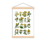 Yellow Wild flowers