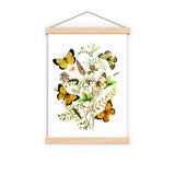 Wild Flowers and butterflies