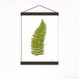 Green fern n01 art print