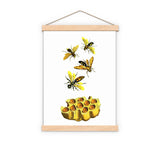 Bees and honey
