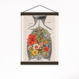 Open Back human Anatomy Print