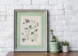 Bees with Blue wild flowers