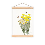 Yellow wild flowers with bees Print
