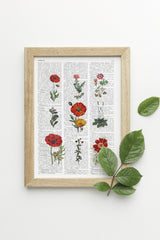 Red wild Flowers