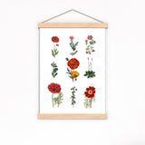Red wild Flowers