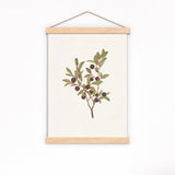 Blue Berry Branch Botanical Art | Vintage Print Farmhouse Berry Art | Neutral Botanical Art | Autumn Art | Book Page Prints | BFL289